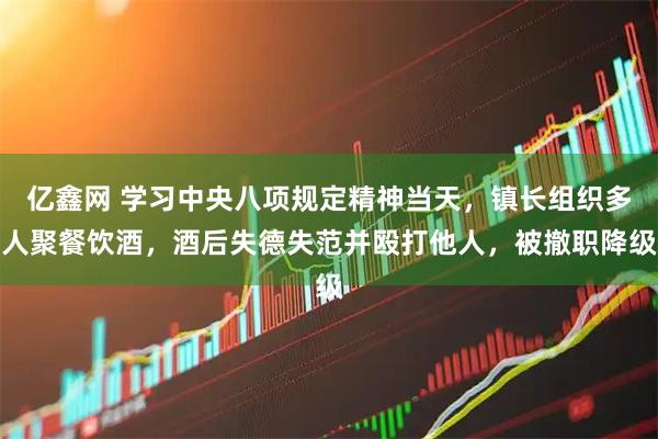 亿鑫网 学习中央八项规定精神当天，镇长组织多人聚餐饮酒，酒后失德失范并殴打他人，被撤职降级